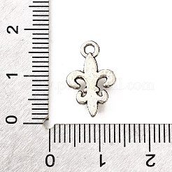 Tibetan Style Alloy Pendants&nbsp;TIBE-L008-15AS