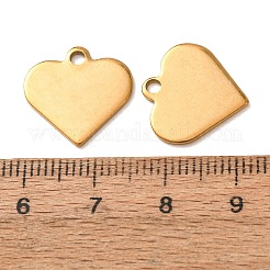 Ion Plating(IP) 304 Stainless Steel Charms&nbsp;STAS-D431-27G