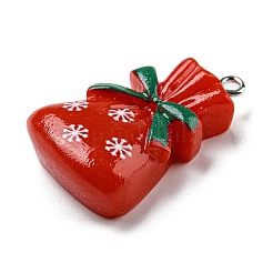 Opaque Resin Pendants&nbsp;CRES-D010-01E-02