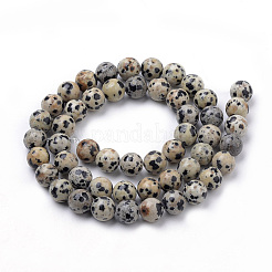 Natural Dalmatian Jasper Beads Strands&nbsp;G-S259-24-8mm