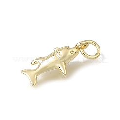 Brass Pendants&nbsp;KK-CBA79EB-05C-G