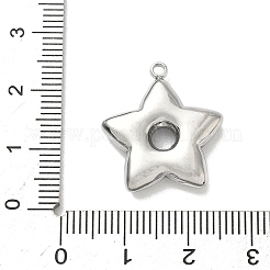 304 Stainless Steel Pendants&nbsp;STAS-L301-13P