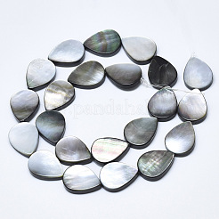Natural Black Lip Shell Beads&nbsp;SSHEL-N036-036