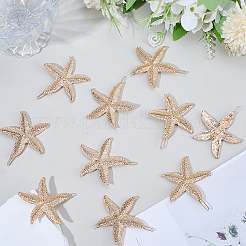 10Pcs Zinc Alloy Hair Barrettes&nbsp;PHAR-SP0001-25