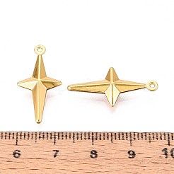 304 Stainless Steel Pendants&nbsp;STAS-N118-04G