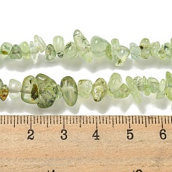 Natural Prehnite Beads Strands&nbsp;X-G-P332-41A