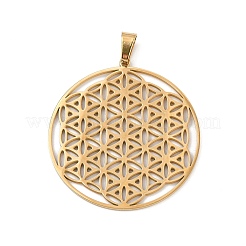 304 Stainless Steel Pendants&nbsp;STAS-P209-18
