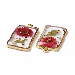 Transparent Clear Epoxy Resin Pendants&nbsp;RESI-L036-04G-01