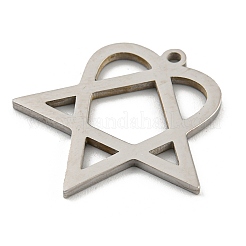 Non-Tarnish 304 Stainless Steel Pendants&nbsp;STAS-R228-03P