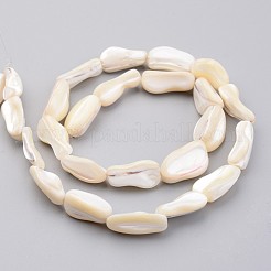 Natural Shell Bead Strands&nbsp;BSHE-P021-04