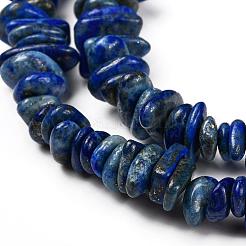Natural Lapis Lazuli Chip Bead Strands&nbsp;X-G-M205-14