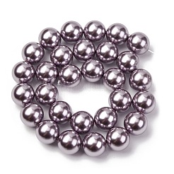 Electroplated Shell Pearl Beads Strands&nbsp;BSHE-G041-14mm-02