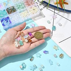 DIY Glass & Acrylic Beads Findings Kits&nbsp;DIY-FS0009-32