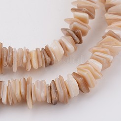 Natural Shell Bead Strands&nbsp;X-BSHE-P021-14
