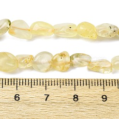 Natural Gold Prehnite Beads Strands&nbsp;G-K395-A07-01