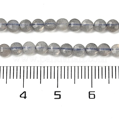 Natural Labradorite Beads Strands&nbsp;G-R462-008-01