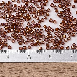 MIYUKI Delica Beads&nbsp;SEED-X0054-DB1750