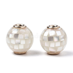Natural White Shell Beads&nbsp;SSHEL-N034-131J