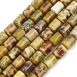 Natural Dragon Blood Jasper Beads Strands&nbsp;G-S396-03C