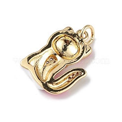 Rack Plating Brass Micro Pave Cubic Zirconia Pendants&nbsp;KK-F848-01G