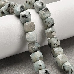 Natural Sesame Jasper Beads Strands&nbsp;G-H078-C24-01