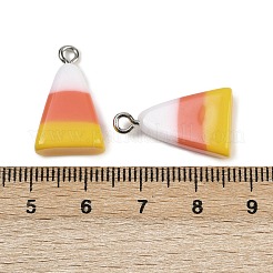 Opaque Resin Pendants&nbsp;RESI-C062-01