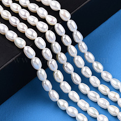 Natural Cultured Freshwater Pearl Beads Strands&nbsp;PEAR-N012-04H