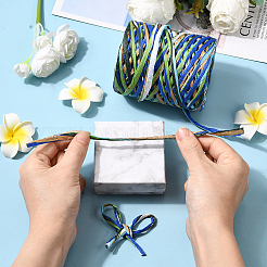 Segment Dyed Raffia Paper Cords for DIY Craft&nbsp;OCOR-WH20020-27B
