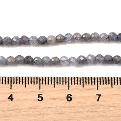 Natural Tanzanite Beads Strands&nbsp;LS-G-S387-A01-3mm