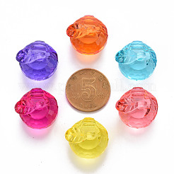 Transparent Acrylic Pendants&nbsp;TACR-T024-05B