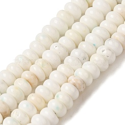Natural Magnesite Beads Strands&nbsp;G-D474-02B