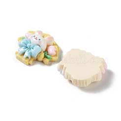 Opaque Resin Animal Cabochons&nbsp;CRES-M026-25