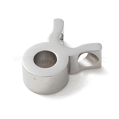 Constellation 304 Stainless Steel Charms&nbsp;LS-STAS-U038-01P-02