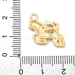 Alloy Enamel Pendants&nbsp;FIND-M060-26G