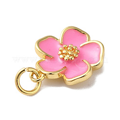 Rack Plating Brass Enamel Charms&nbsp;KK-O142-56G-04