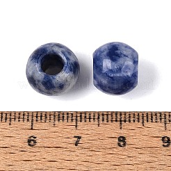 Natural Blue Spot Jasper European Beads&nbsp;G-Q602-09A-09