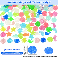 120g Luminous Acrylic Beads&nbsp;OACR-SP0001-79A