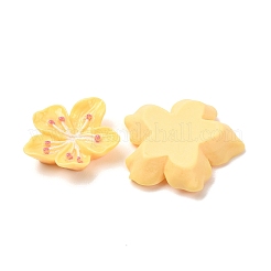 Opaque Resin Cabochons&nbsp;CRES-A064-01C