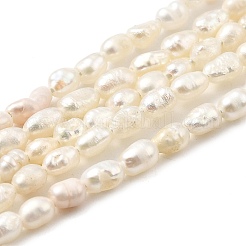 Natural Cultured Freshwater Pearl Beads Strands&nbsp;PEAR-I007-01J-02A