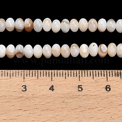 Natural Freshwater Shell Beads Strands&nbsp;SHEL-C010-04B-01