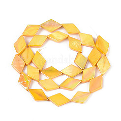 Dyed Natural Freshwater Shell Beads Strands&nbsp;SHEL-T020-13C