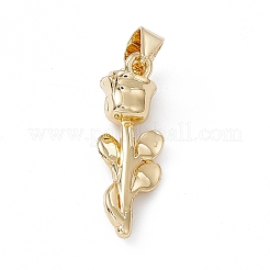 Rack Plating Brass Pendants&nbsp;KK-G451-17G