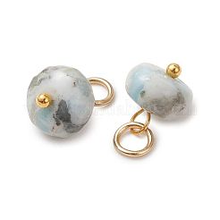 Natural Larimar Pendants&nbsp;PALLOY-JF05885