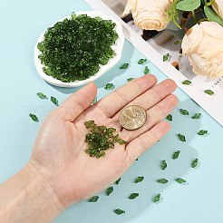 500Pcs Transparent Acrylic Charms&nbsp;TACR-SP0001-36A
