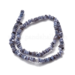 Natural Freshwater Shell Beads&nbsp;SHEL-B003-01G