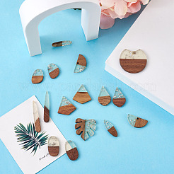 20Pcs 10 Style Resin & Walnut Wood Pendants&nbsp;RESI-KS0001-05