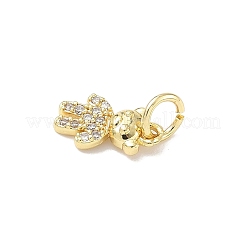 Brass Micro Pave Cubic Zirconia Charms&nbsp;ZIRC-I356-15G-04