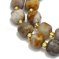 Natural Gobi Agate Beads Strand&nbsp;G-I376-D02-01