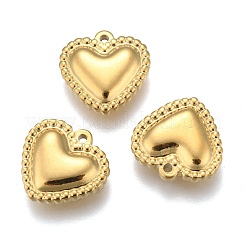304 Stainless Steel Charms&nbsp;STAS-F249-34G