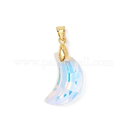 AB Color Plated Glass Pendants&nbsp;PALLOY-JF04595-01